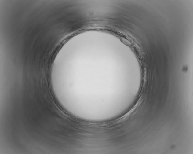 X0000116621449201001221330