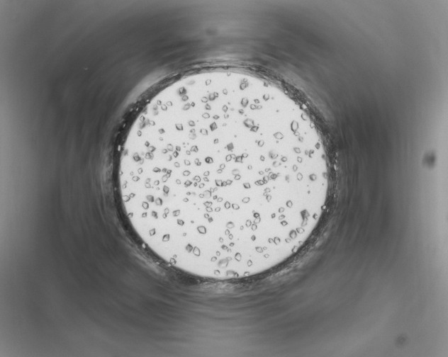 X0000116621450201001221330