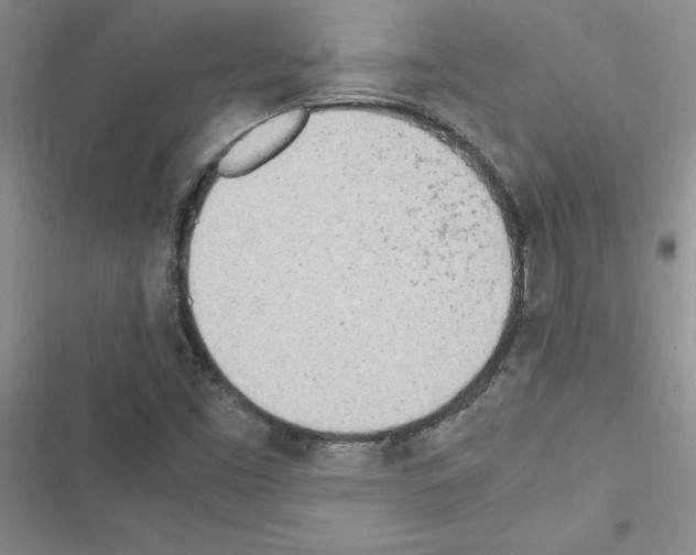 X0000116621453201001221330