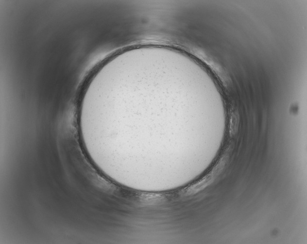 X0000116621454201001221330