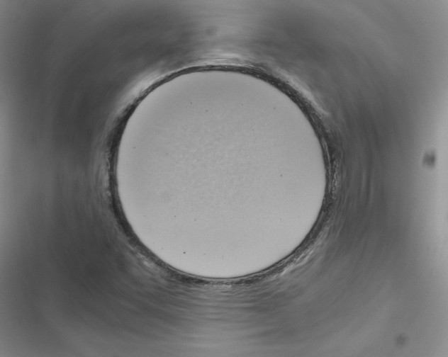 X0000116621455201001221330