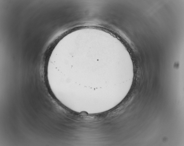 X0000116621456201001221330