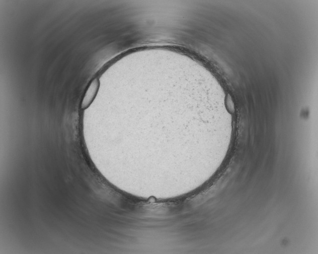 X0000116621457201001221330