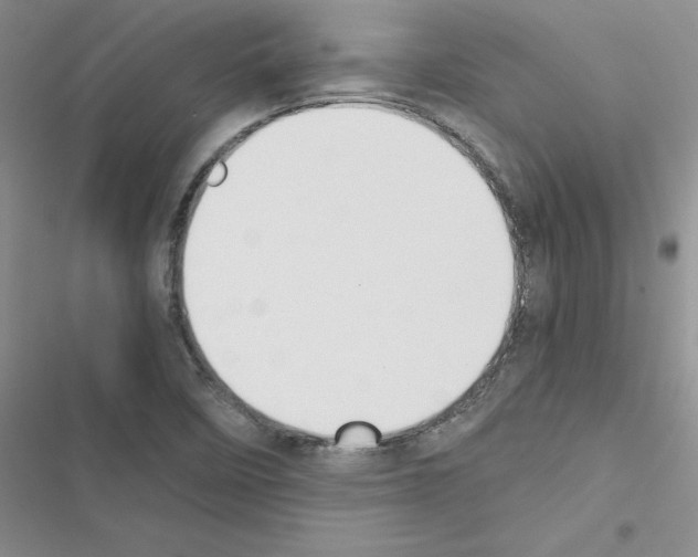 X0000116621458201001221330