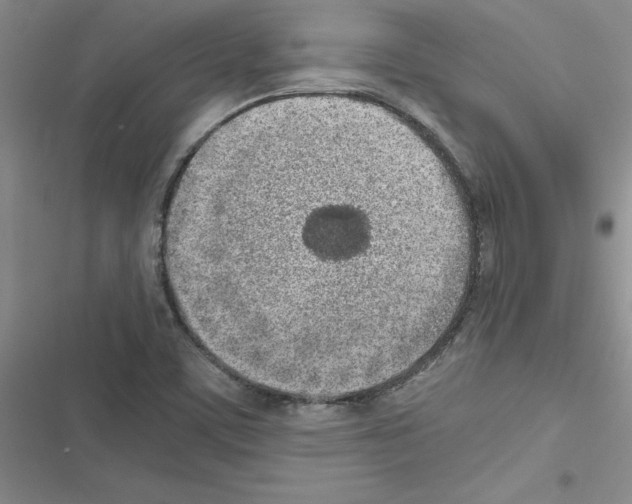 X0000116621459201001221330