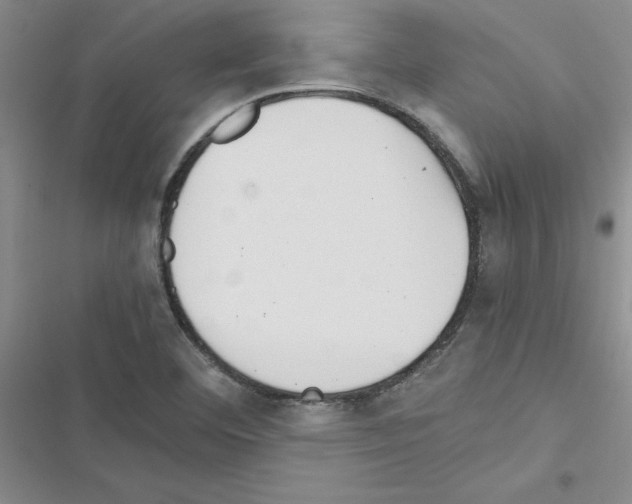 X0000116621460201001221330