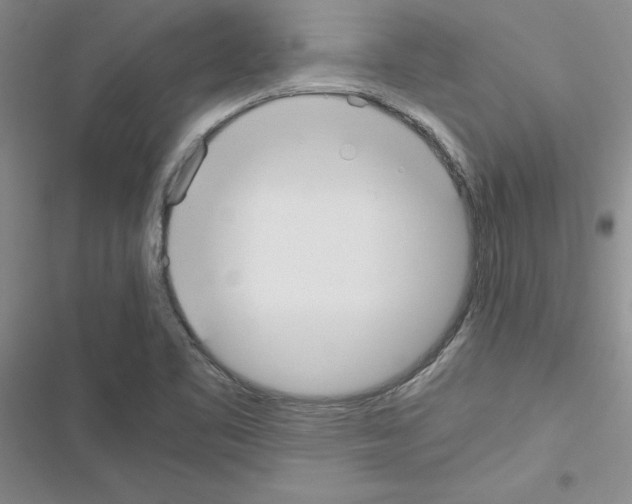 X0000116621461201001221330