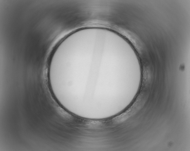 X0000116621462201001221330