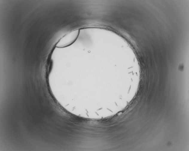 X0000116621463201001221329