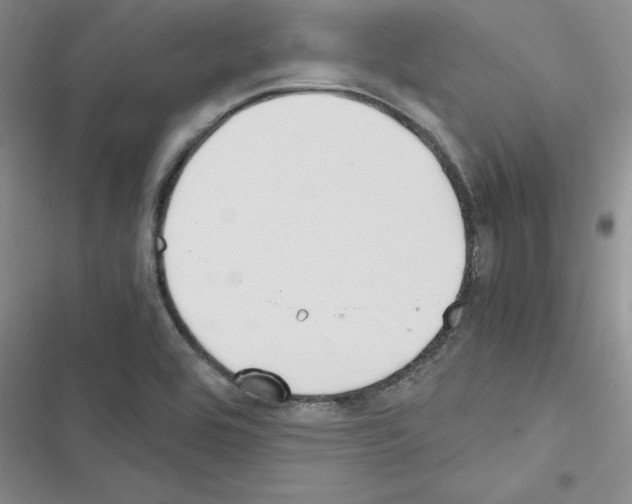 X0000116621464201001221329