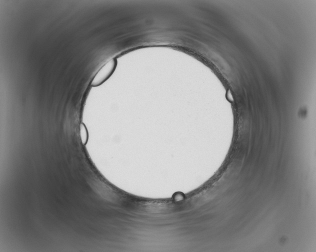 X0000116621465201001221329