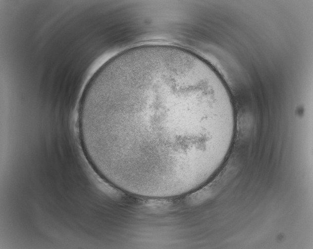 X0000116621466201001221329