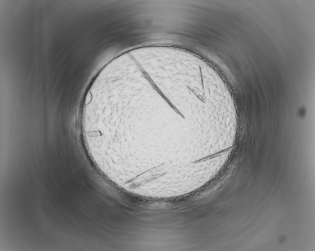 X0000116621467201001221329