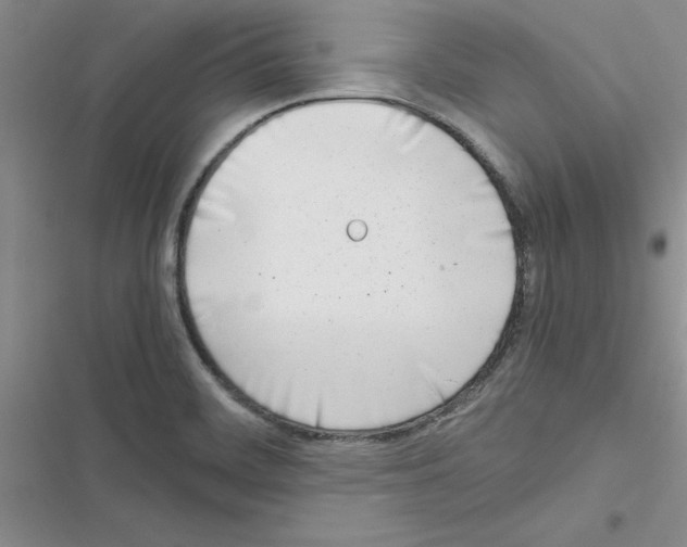 X0000116621468201001221329