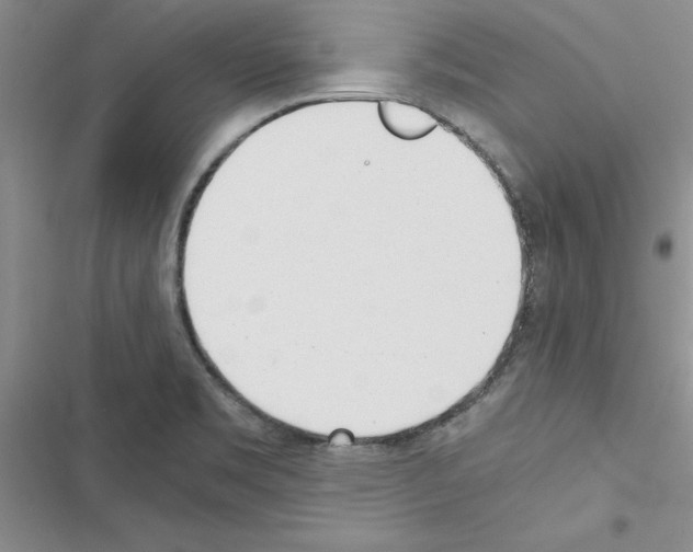 X0000116621469201001221329