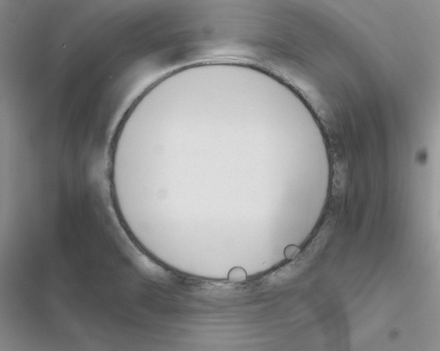 X0000116621470201001221329