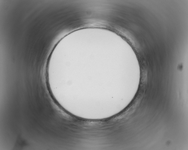 X0000116621471201001221329