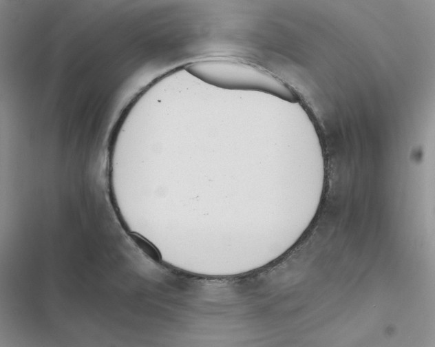 X0000116621472201001221329