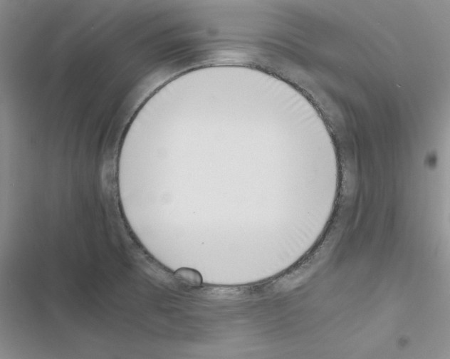 X0000116621473201001221329