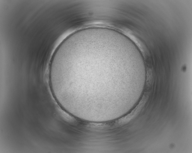 X0000116621474201001221329