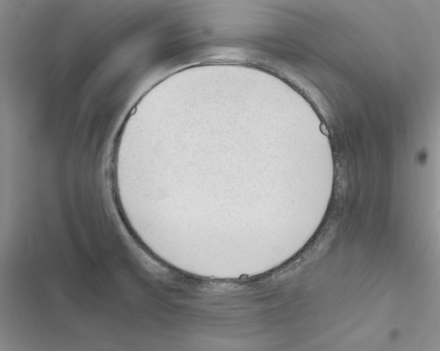 X0000116621475201001221329