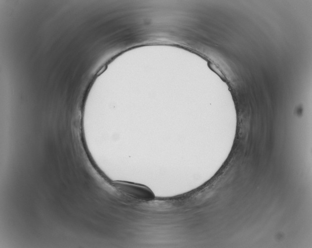 X0000116621476201001221329