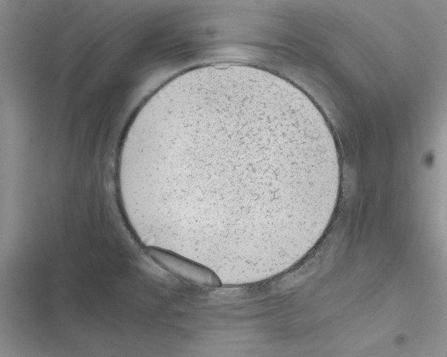 X0000116621477201001221329