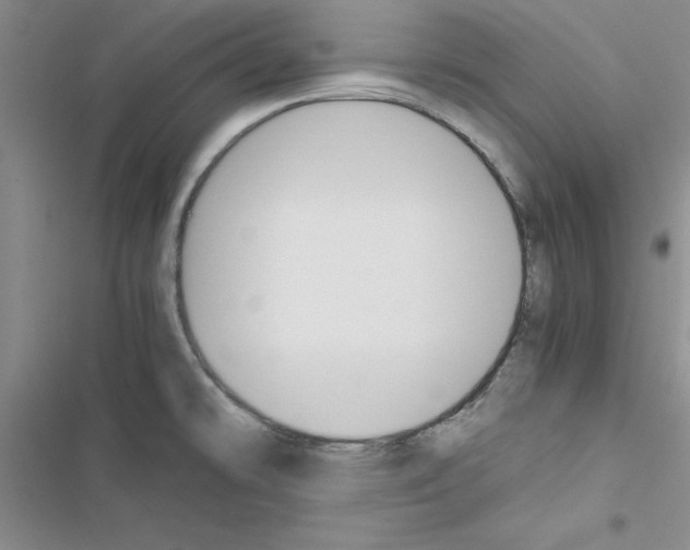 X0000116621478201001221329