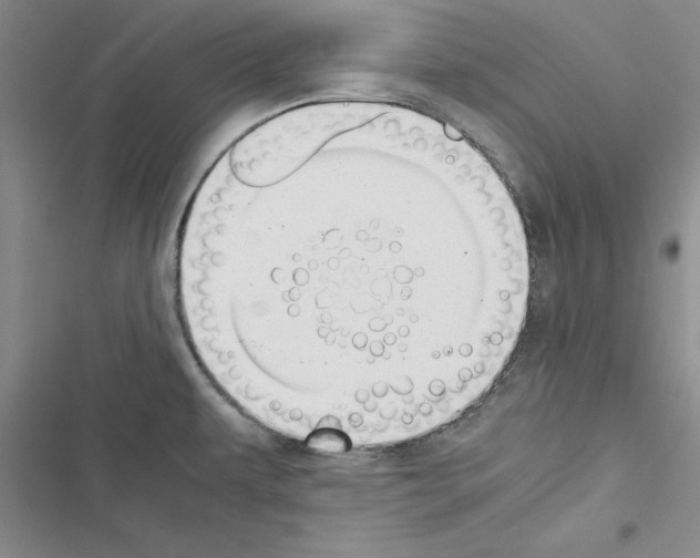 X0000116621479201001221329