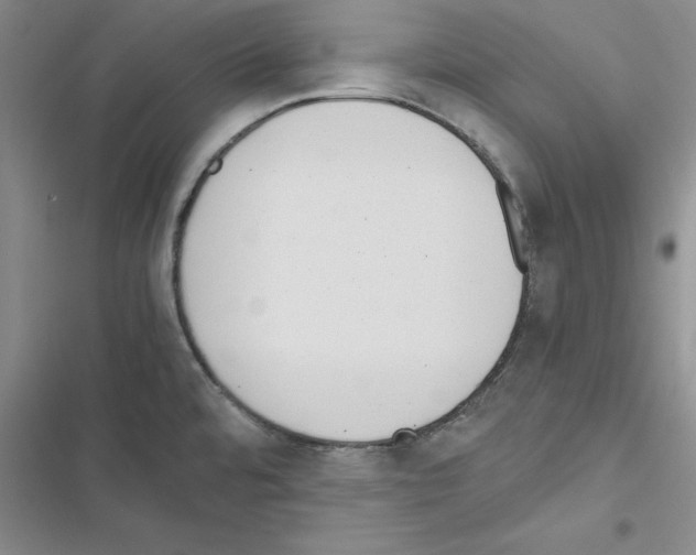 X0000116621480201001221329