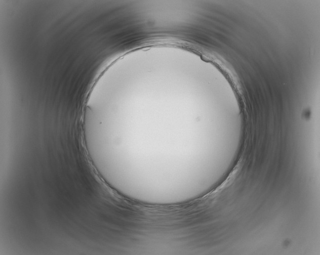 X0000116621481201001221329