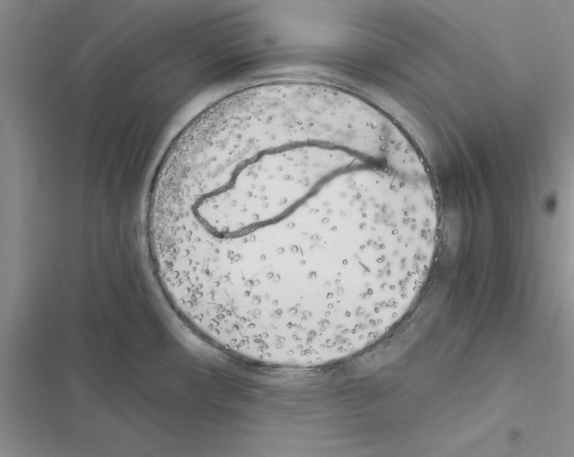 X0000116621482201001221329