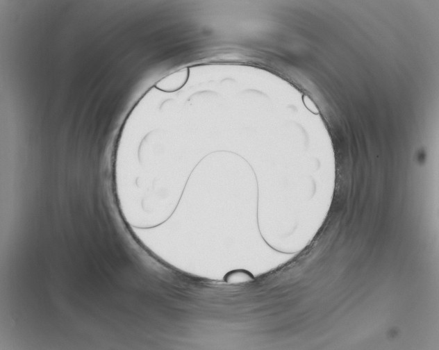 X0000116621483201001221329