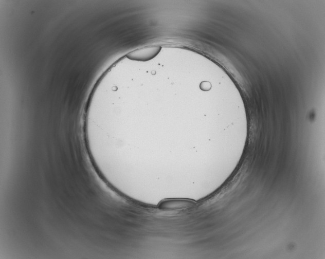 X0000116621484201001221329