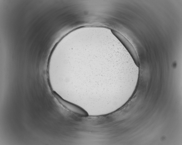 X0000116621485201001221329