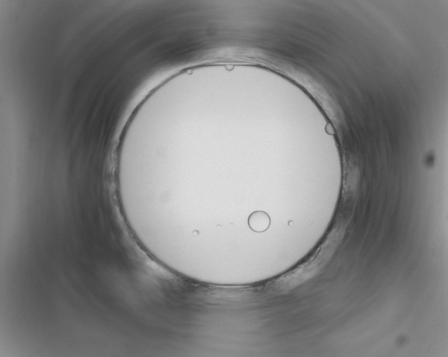 X0000116621486201001221329