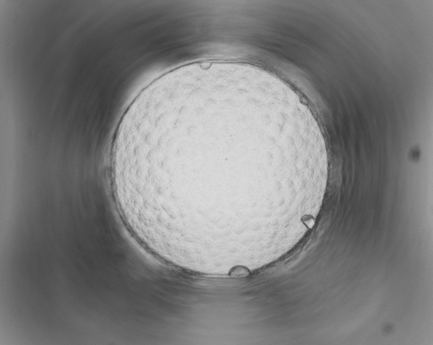 X0000116621487201001221329