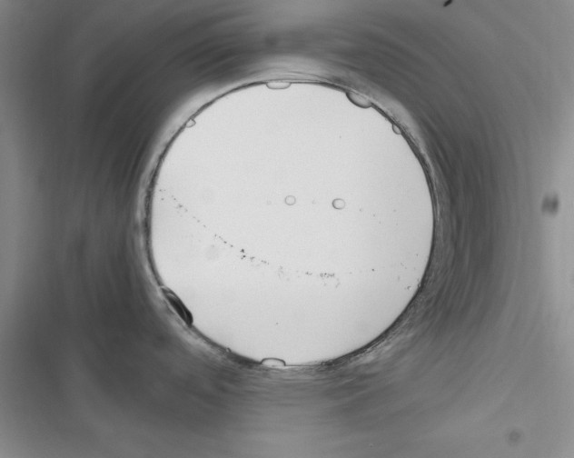 X0000116621488201001221329