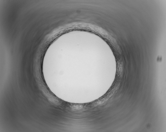 X0000116621489201001221329