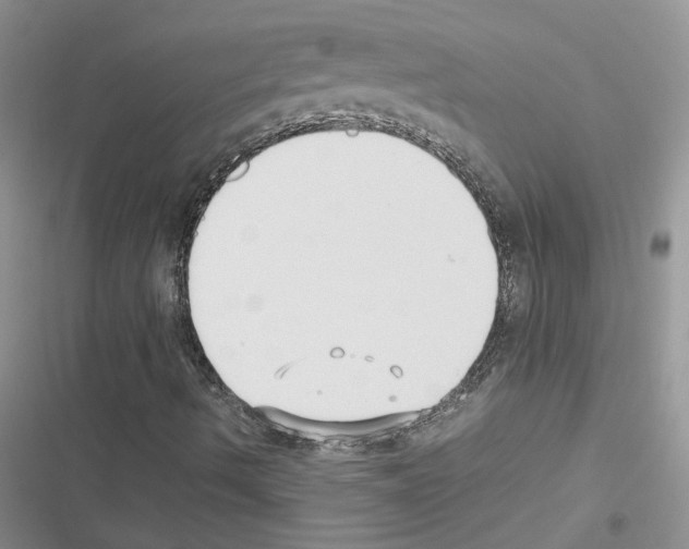 X0000116621490201001221329