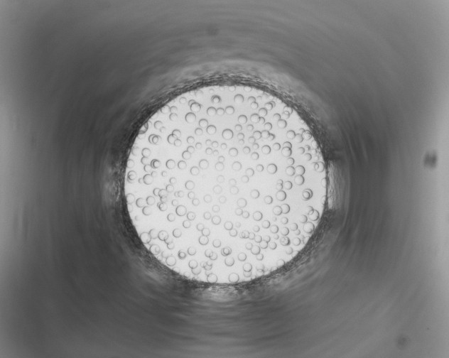 X0000116621491201001221329