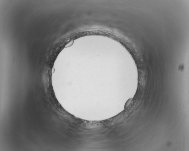 X0000116621493201001221329