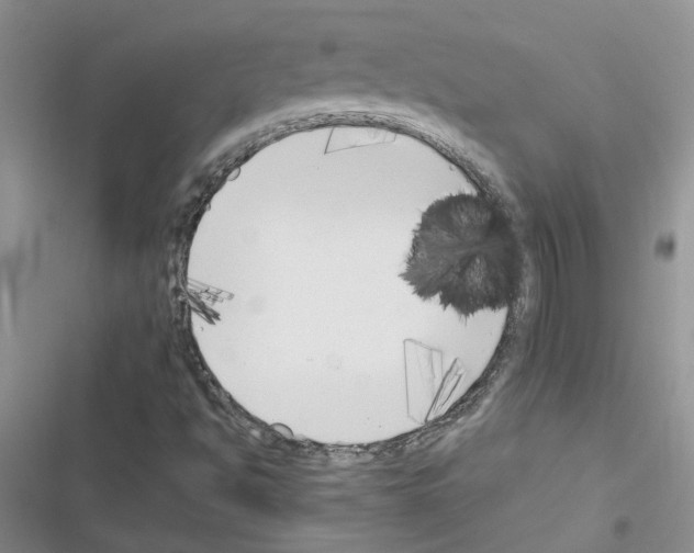 X0000116621494201001221329