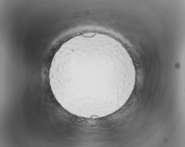 X0000116621495201001221329