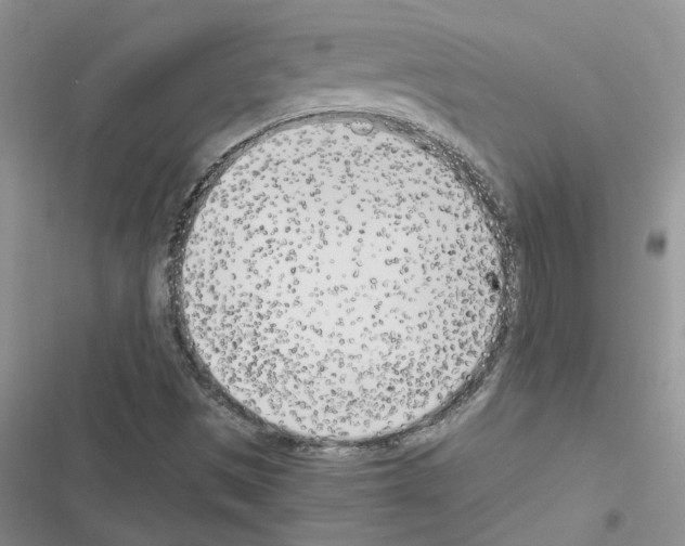 X0000116621497201001221329