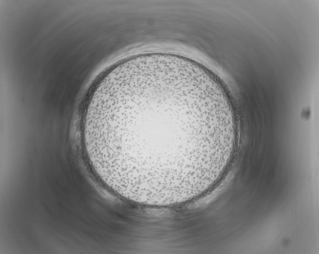 X0000116621498201001221329