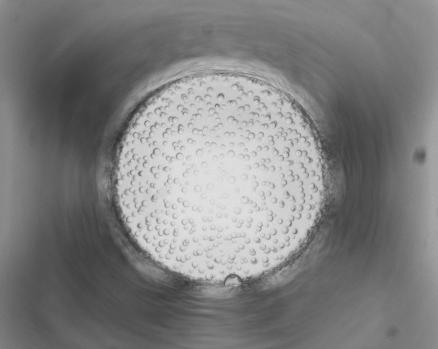 X0000116621499201001221329