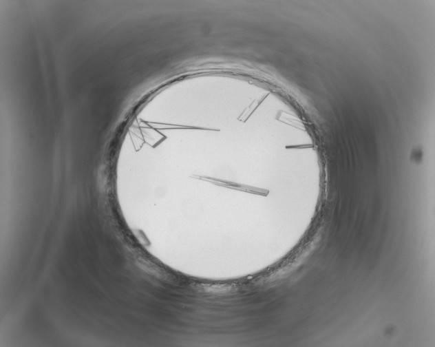 X0000116621501201001221329