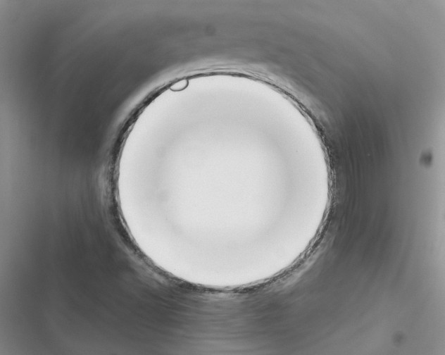 X0000116621502201001221329