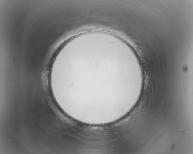 X0000116621503201001221329